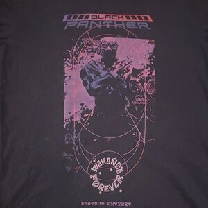 Marvel Black Panther Tee - Gray and Purple
